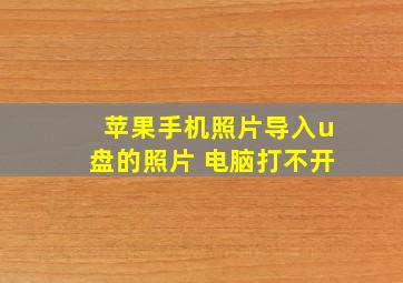 苹果手机照片导入u盘的照片 电脑打不开